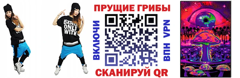 купить наркотики сайты  Канаш  Псилоцибиновые грибы мицелий 