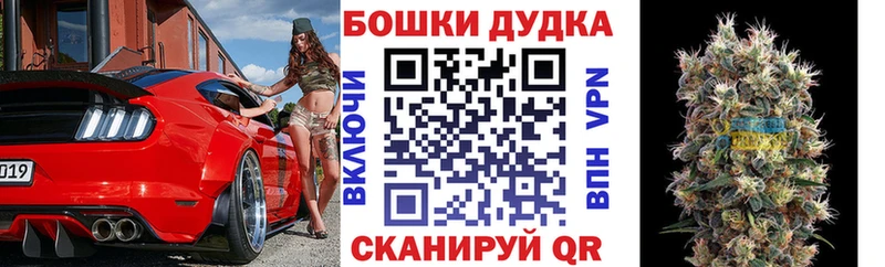 Бошки марихуана конопля  mega как войти  мориарти какой сайт  Канаш 